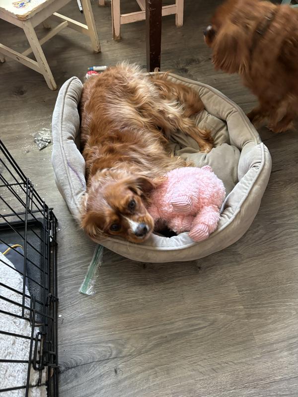 Cuddle time