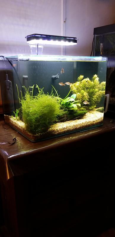 6.8 gallon imagitarium