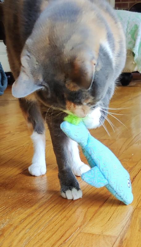 Claws Are No Match for This Tough Guy!