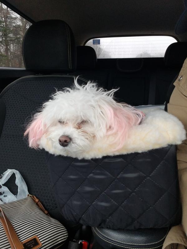 dog car seat for center console