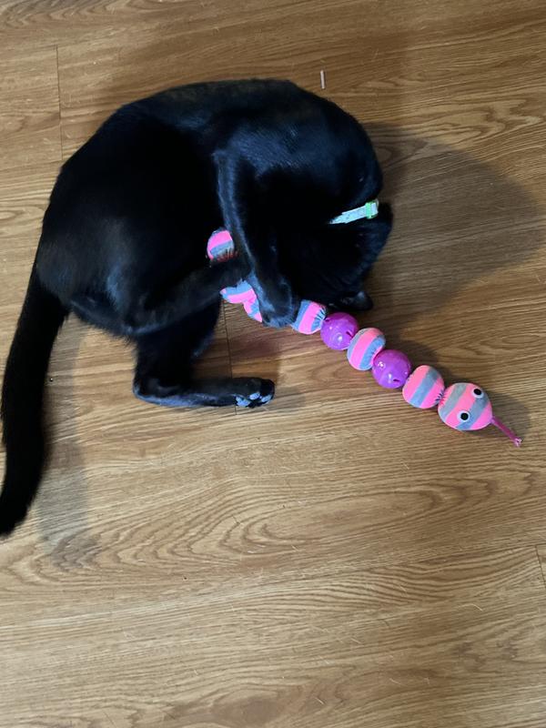 Leaps & Bounds Snake Cat Toy