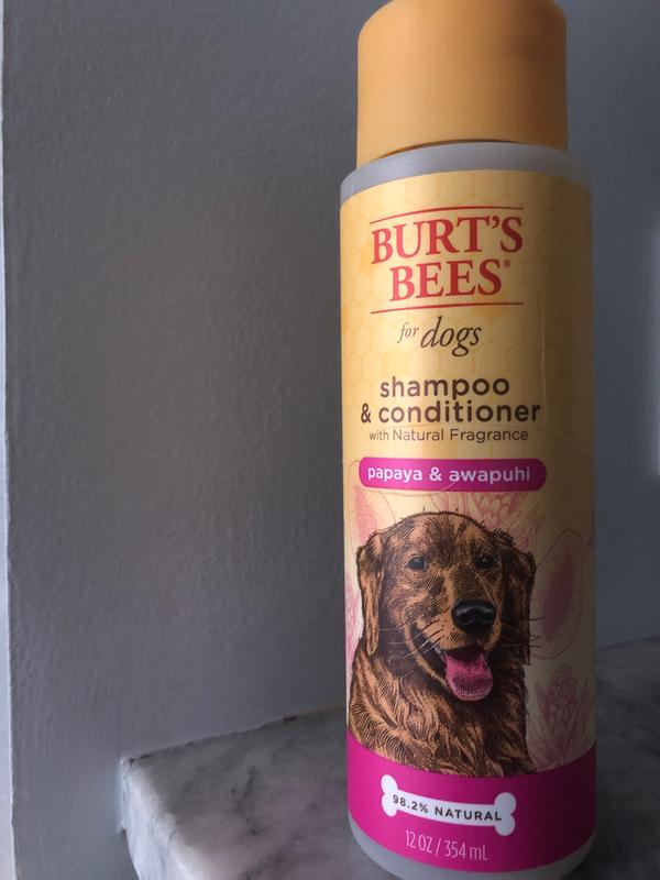 Burt's bees for top dogs reviews