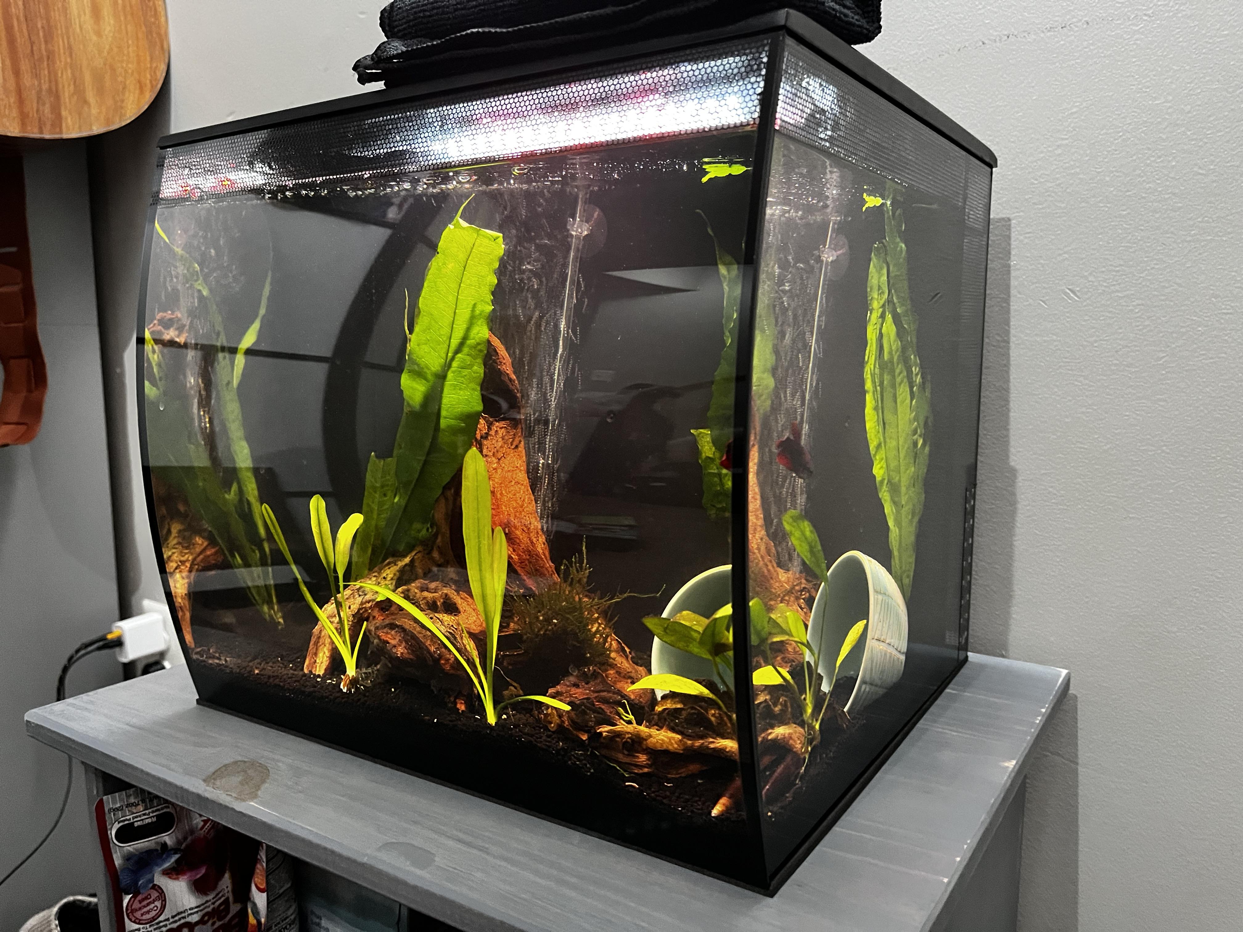 Fluval Black Flex 9 Gallon Aquarium Kit Accessories from Petco