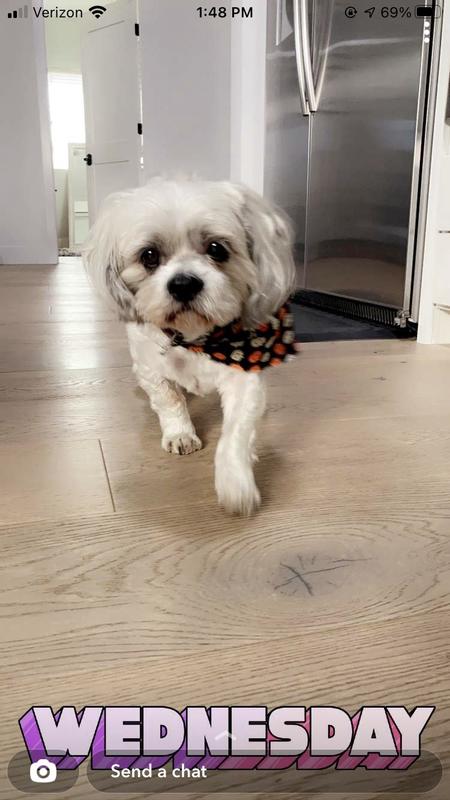 Juve flex ultimate pet nutrition sales