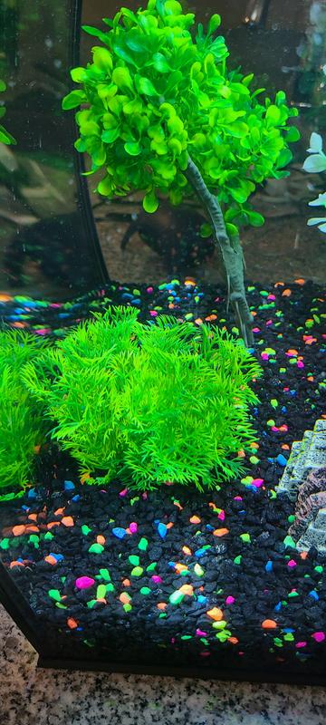 1 Artificail Marimo Moss Ball Weighted Aquarium Decoration 