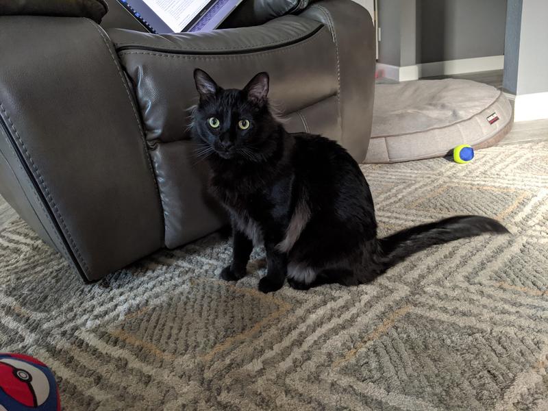 So Phresh Flip Top Cat Litter Box Hood with Odor Filter & Door