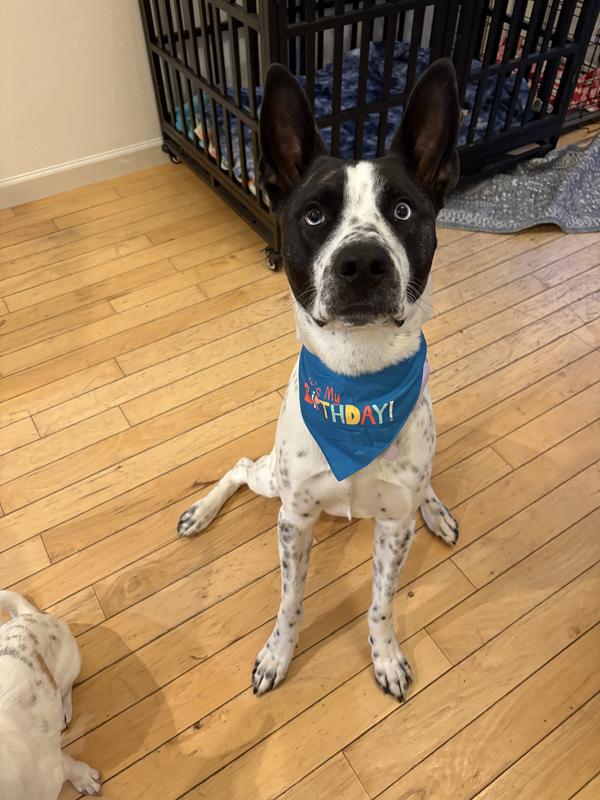 Happy first bday!