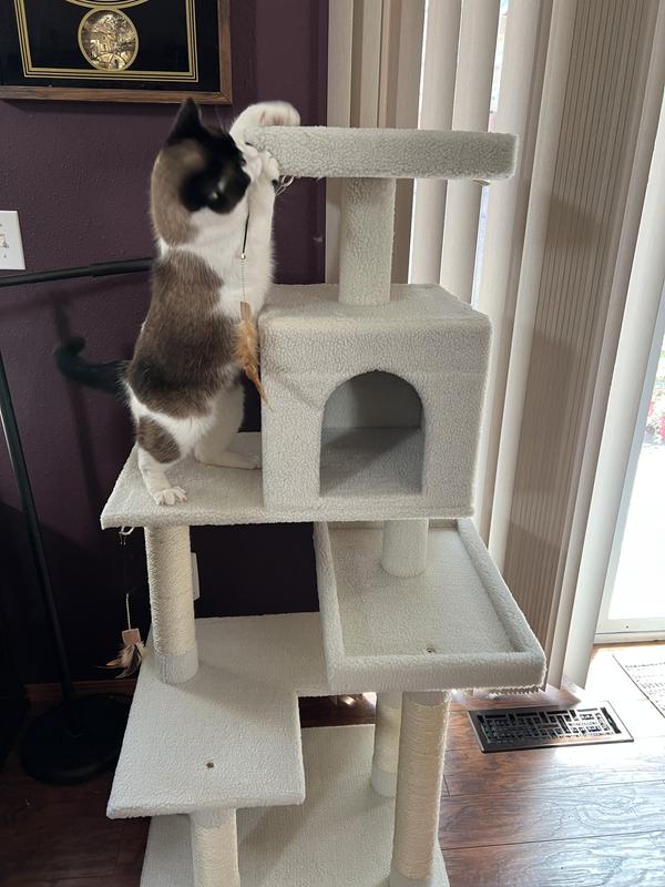 5 level cat outlet tree