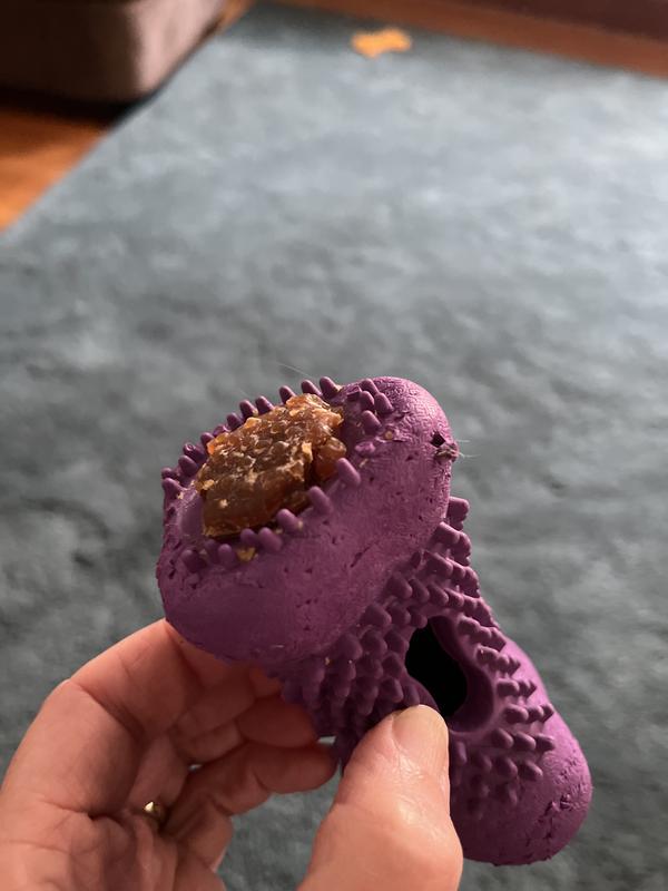 Nubs chewed off