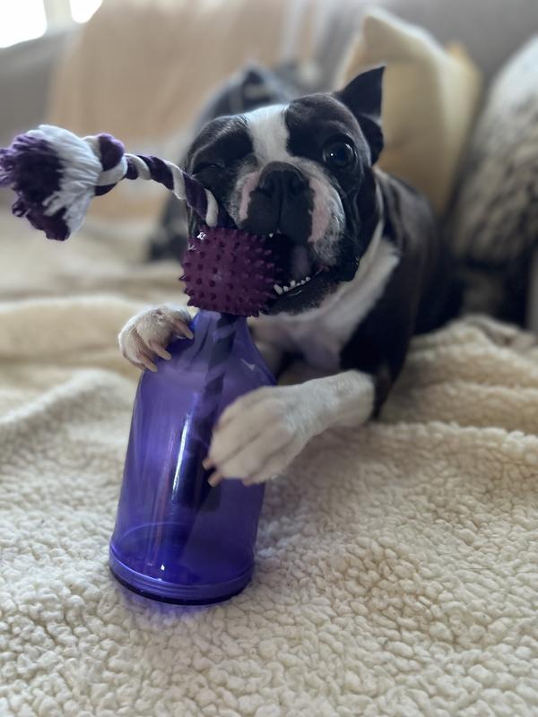 Busy Buddy Tug A Jug Small