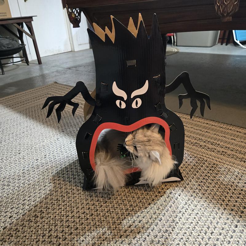 Love the hanging spider