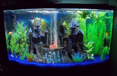 harry potter fish tank decorations