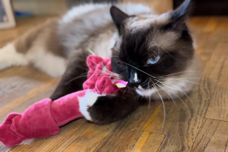 Ribbons for biting