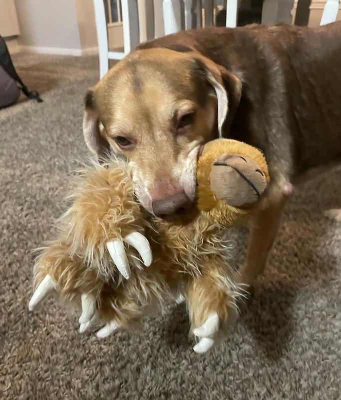 BARK Gordon The Giant Sloth Plush Dog Toy, Large