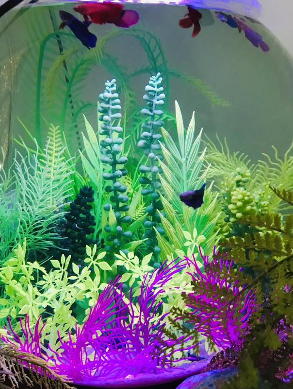 Realistic Seaweed Aquarium Decoration – Pampered Pets Canada