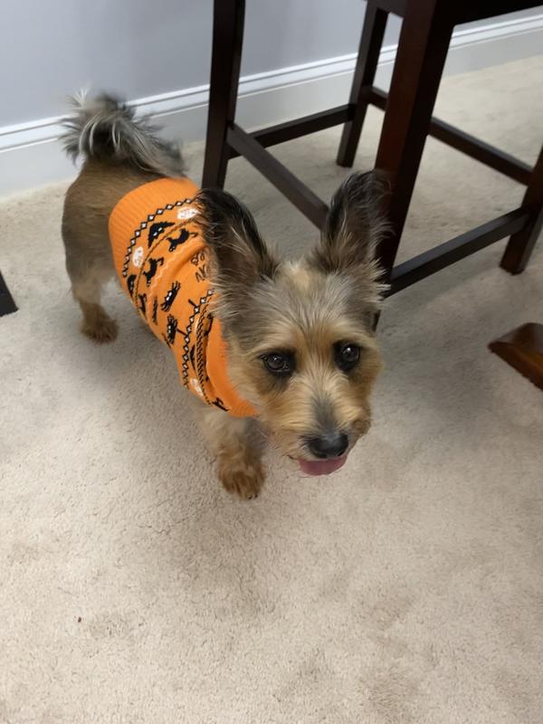 Bootique Witches Sweater for Dogs & Cats, XX-Small