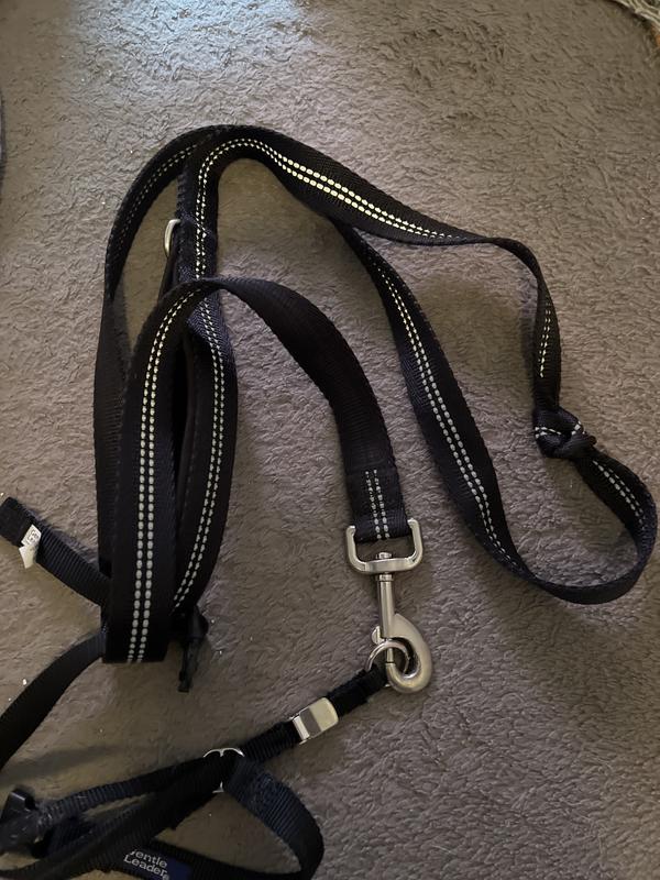 Leash