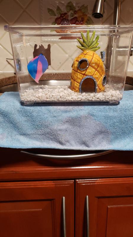Imagitarium small fish keeper