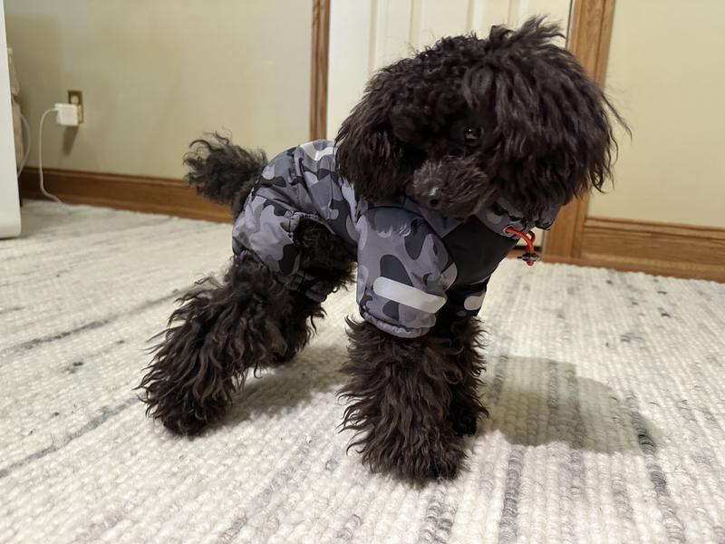 Reddy XXSmall Primaloft Black Camo Dog Snowsuit & Style