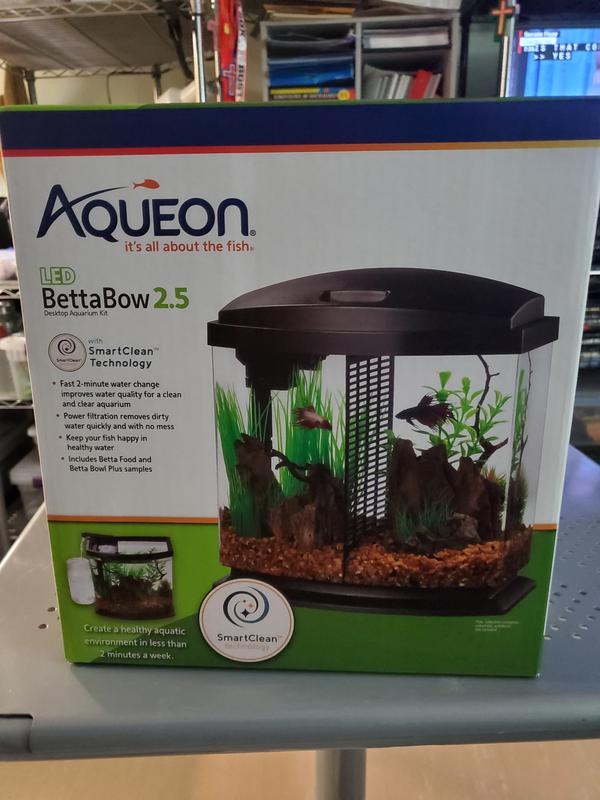 2.5 gallon fish tank petco best sale