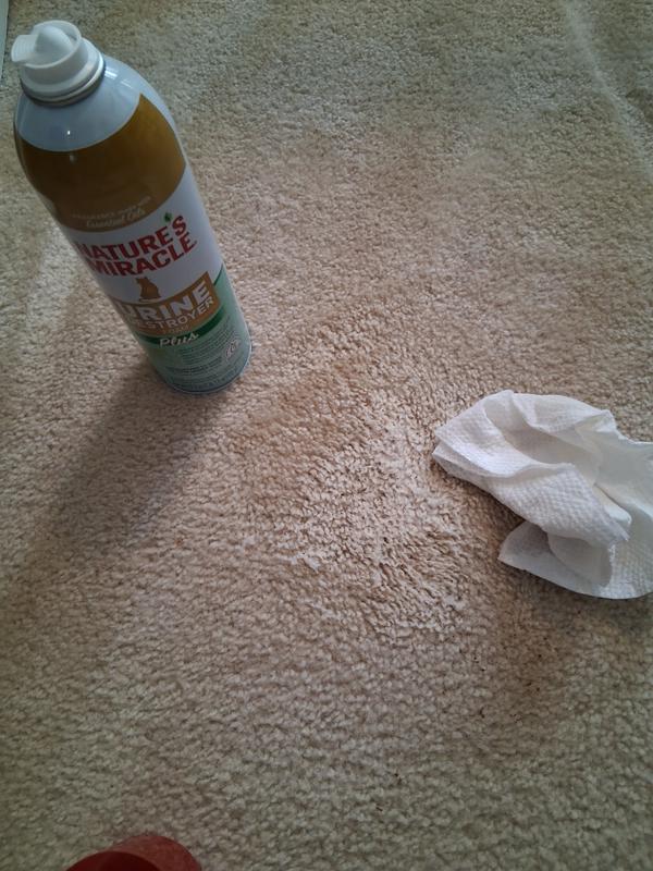 worked it in with a paper towel