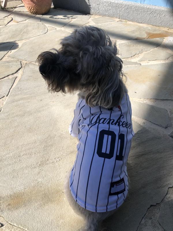 Pets First MLB American League East Jersey for Dogs, Large, New York Yankees