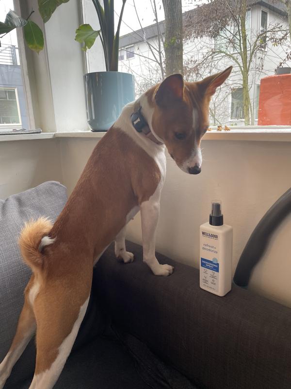 Well & Good Papaya & Honey Dog Deodorizing Spray 8 oz