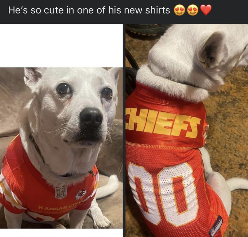 Pets First Kansas City Chiefs Medium Stripe Dog T-Shirt | Petco