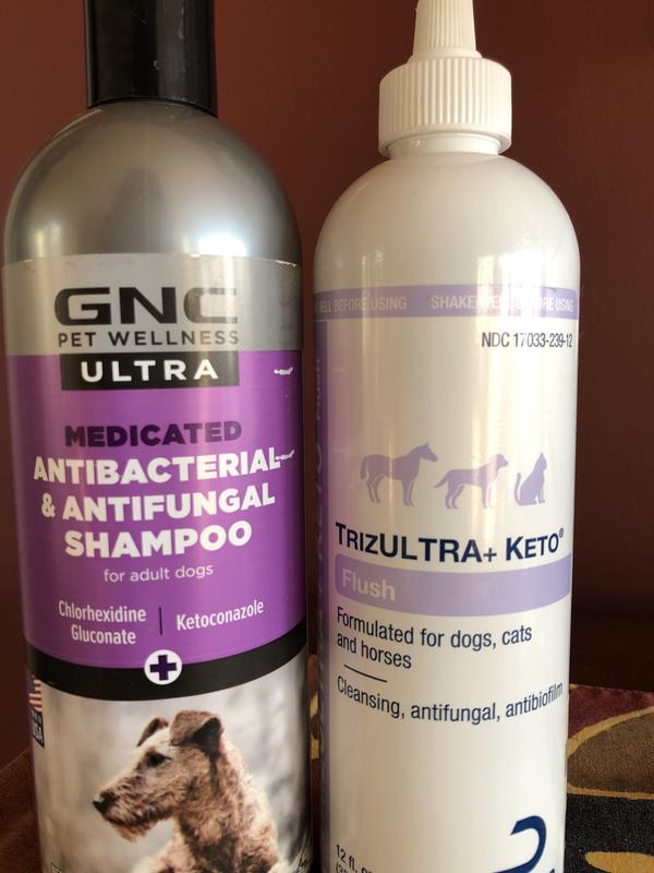 GNC Ultra Medicated Shampoo 16oz Medicated Relief Pet Shampoo For Dogs
