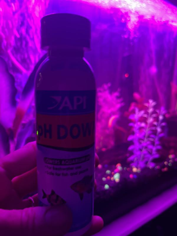 Réducteur de pH pour aquarium d'eau douce, 118 ml - API