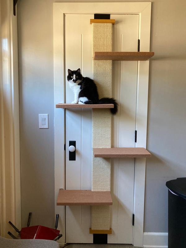 Door climber shop for cats