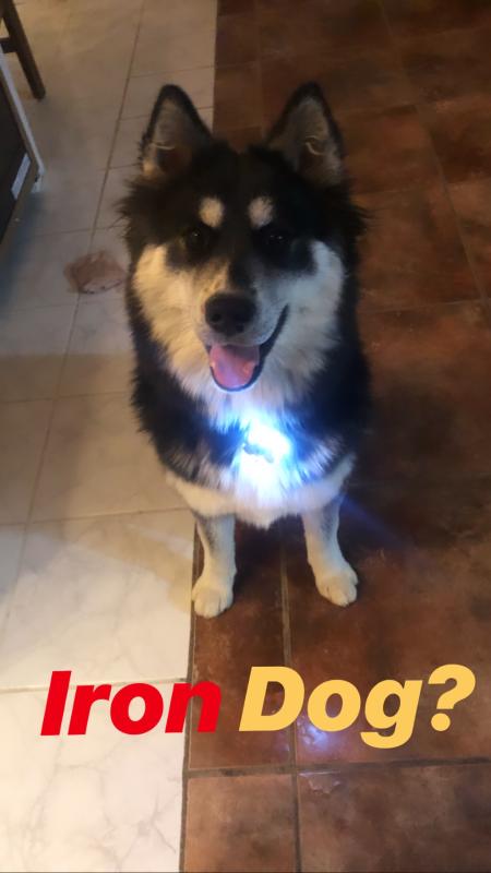 Photo - commentaire&nbsp;7.