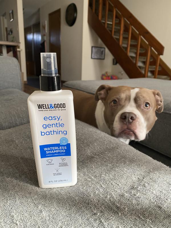 Best dog waterless outlet shampoo