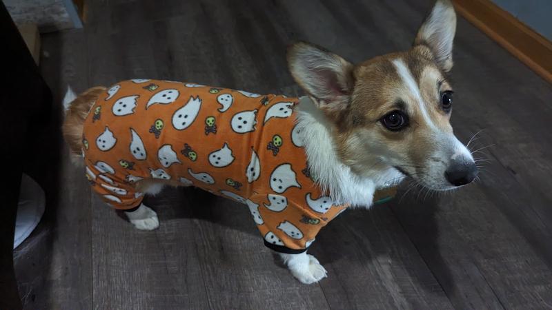 Bootique Ghost Print PJ for Dogs & Cats, XX-Small