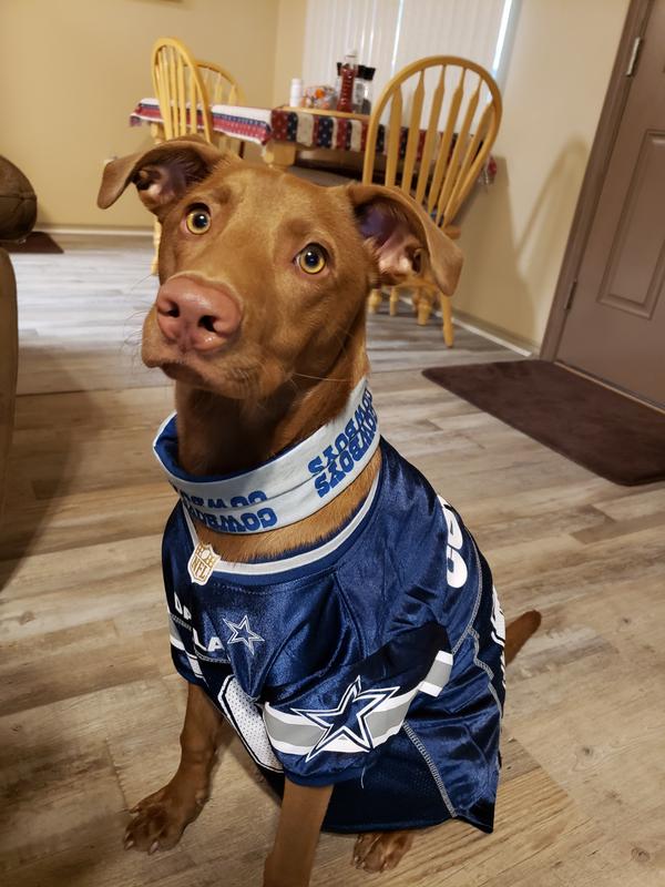 NFL Dog Jerseys for Small to Large Dogs