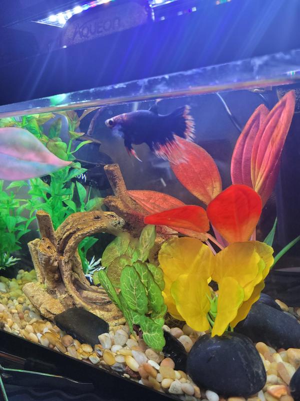 Imagitarium Silk Aquarium Plant for Fresh & Saltwater