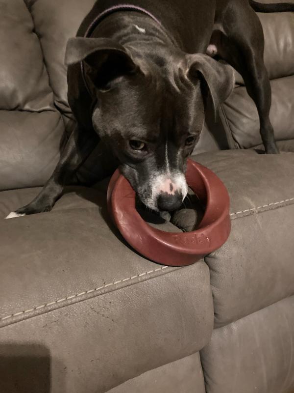 Luna playing with it alone