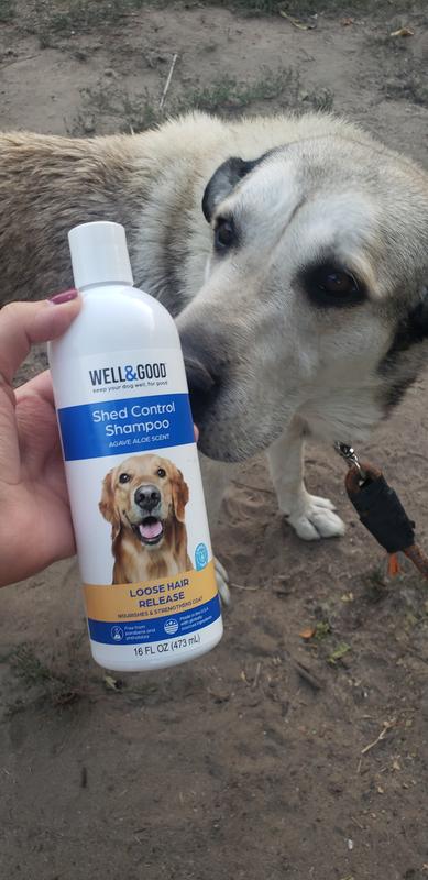 This is Shadow he approves this Well&Good shampoo and it smells amazing!