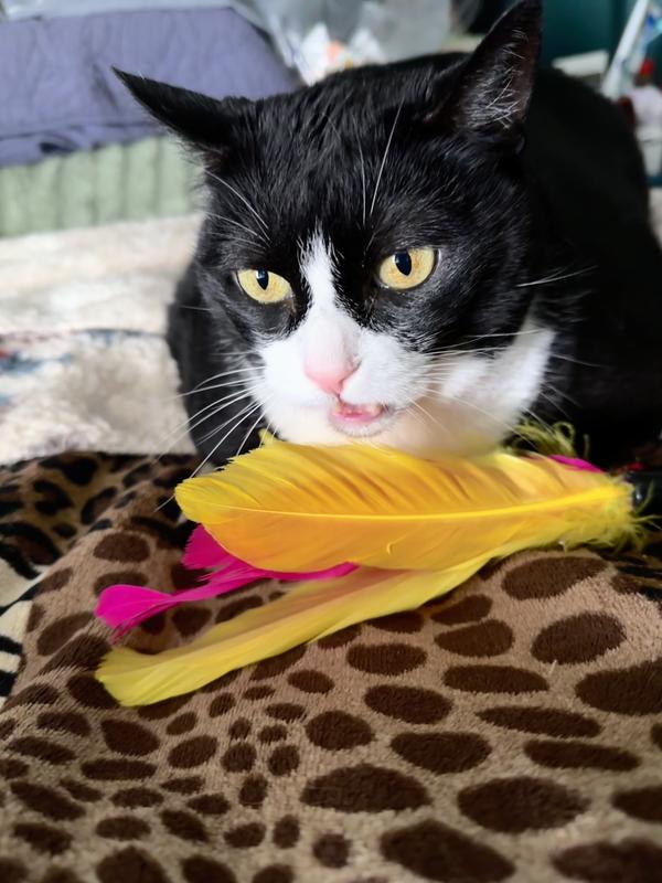 She’s smelling her toy!