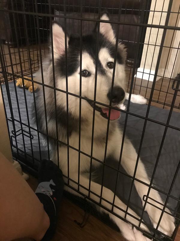 you and me 2 door folding crate xl