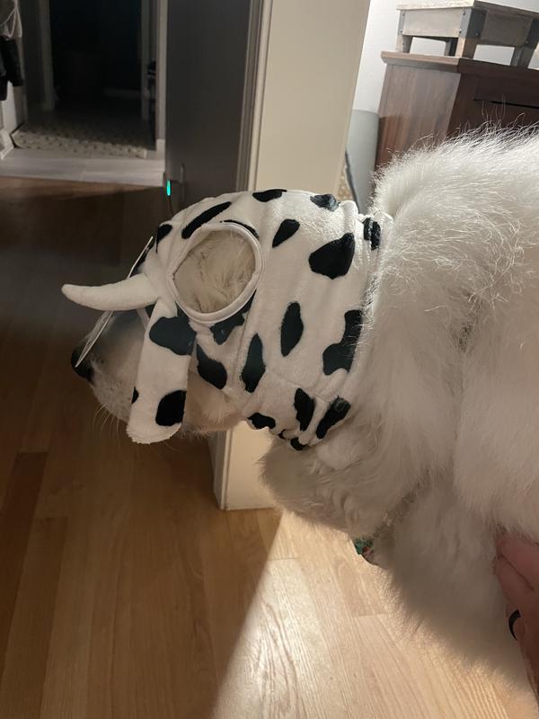 The ear holes were a little off for our pup.