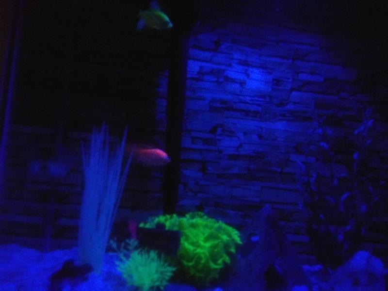 Does not glow in the dark