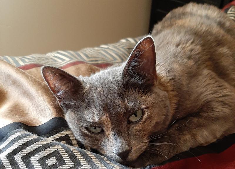 Photo - commentaire 4.