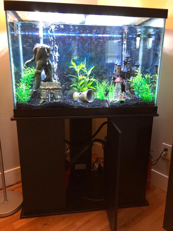 65 gallon fish tank stand