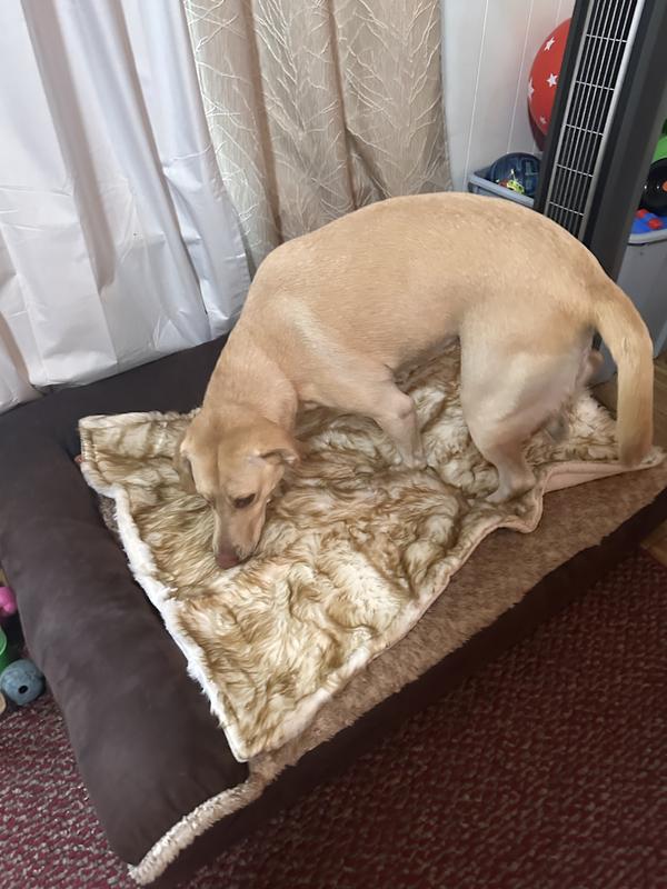 Making it comfy cozy