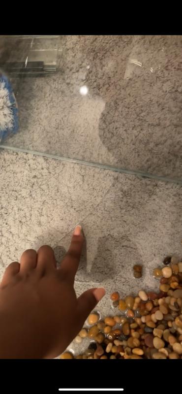 Crack at the bottom