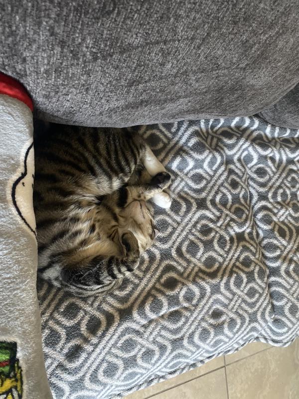 Photo - commentaire&nbsp;1.