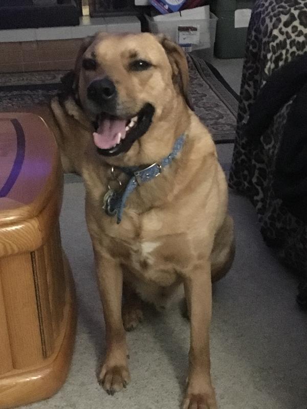 waiting for dinner