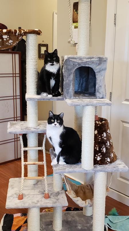 Armarkat Classic Model A7802 Real Wood Cat Tree, 78