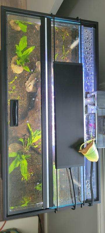 Aquarium glass outlet canopy